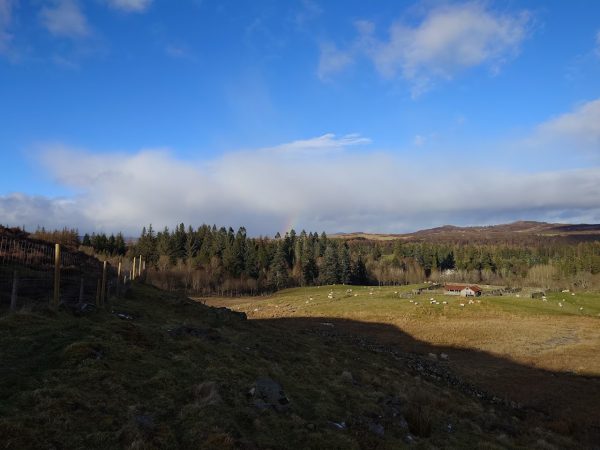 Trail Steading