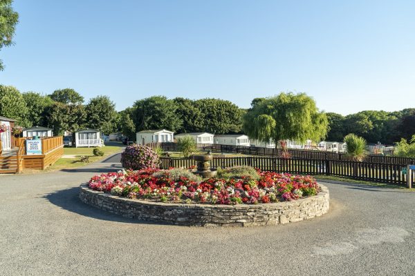 Trevella