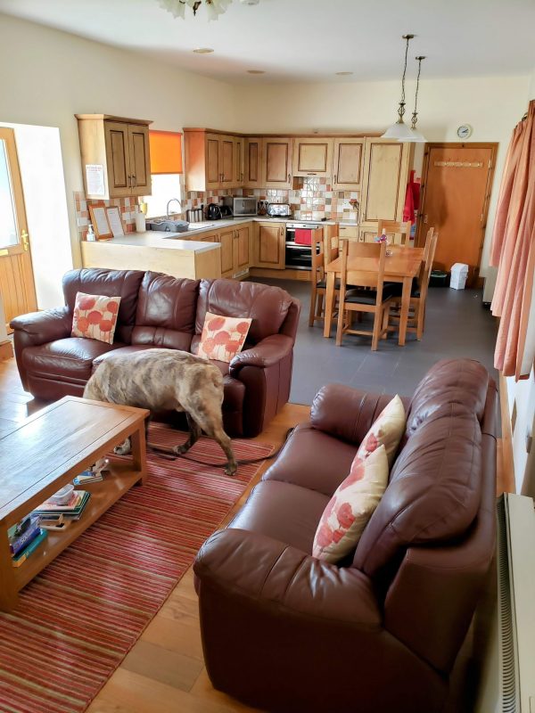 Tynrhelyg Cottages - Eithinog