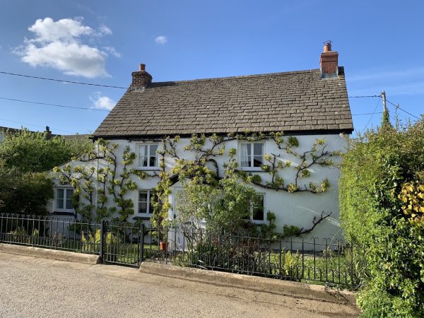 Vine Cottage