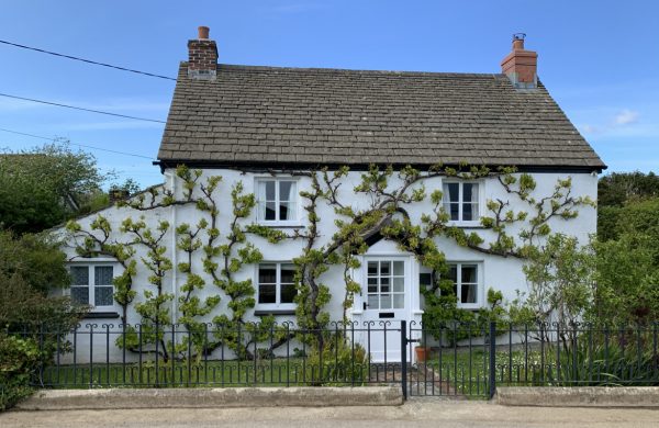 Vine Cottage