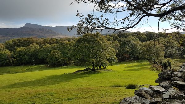 Waen Dolgellau