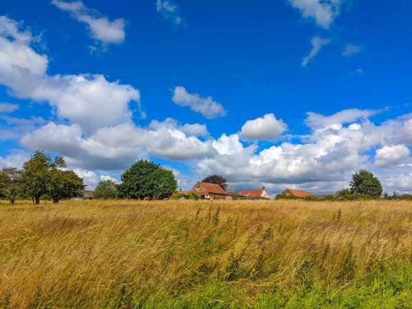 Wassand Croft - The Croft