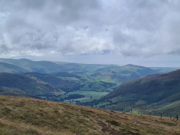 Watton’s - Cader Idris