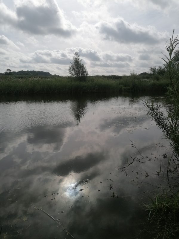 Wensum View Cottage