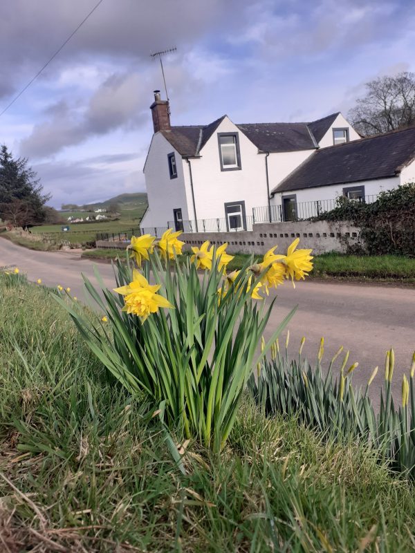 West Lanegate Farmhouse