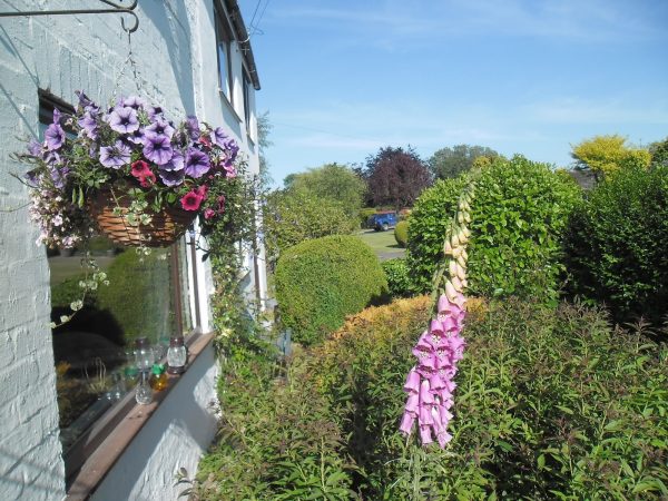 White Cottage