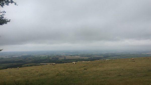 Withycombe