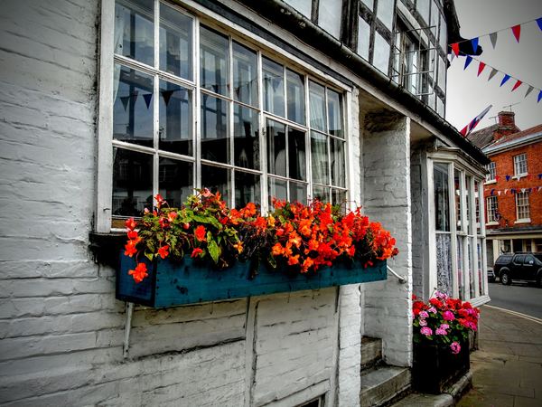 Alcester