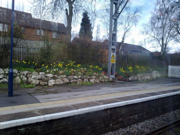 Alsager