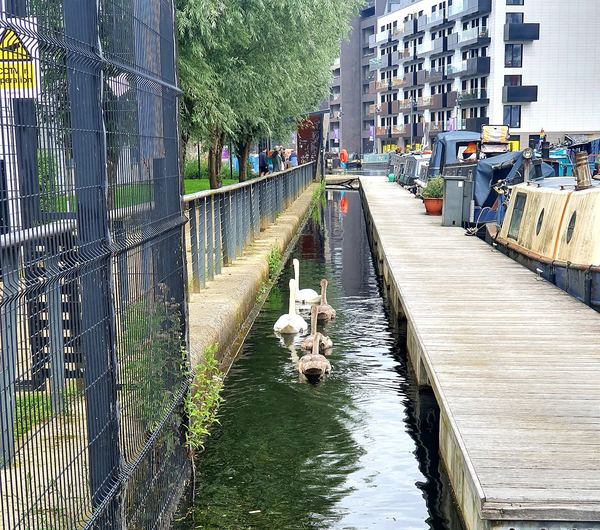 Ancoats