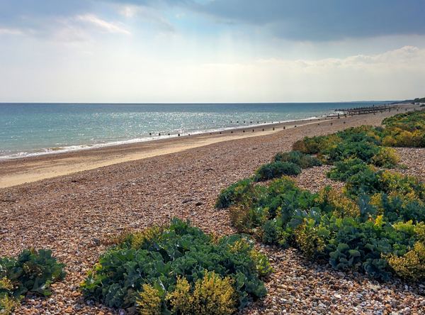 Angmering