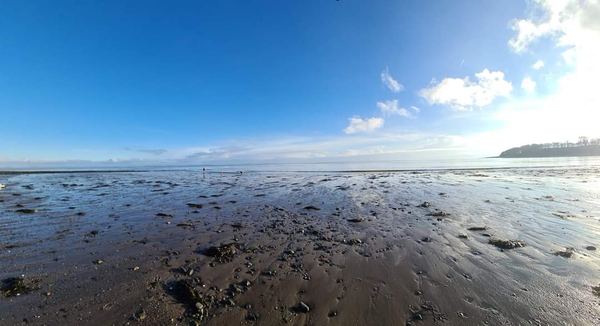 Ardwell