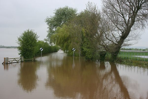 Athelney