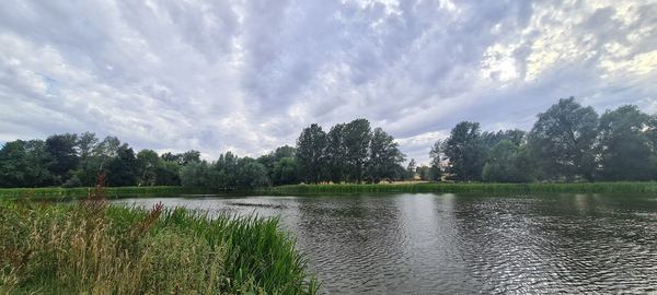 Babergh