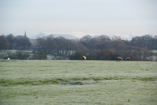 Balderstone