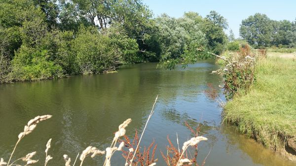 Barcombe