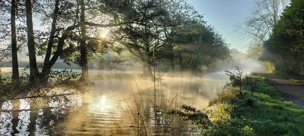 Barlaston