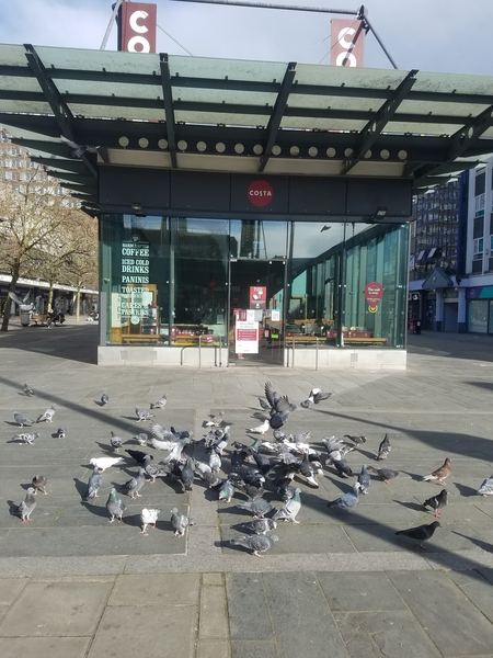Basildon