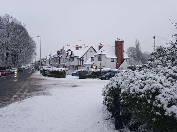 Bearwood