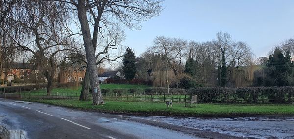 Belvoir