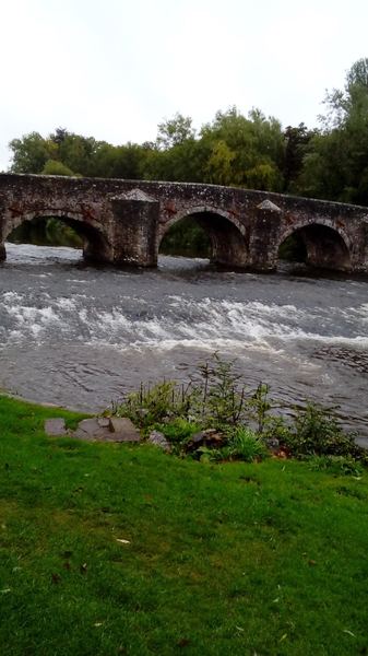 Bickleigh