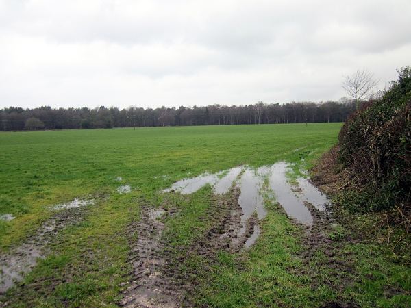 Bickley Moss