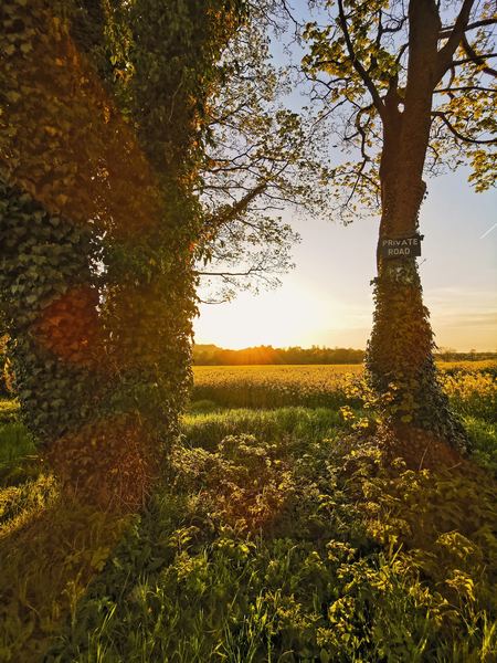 Billinge