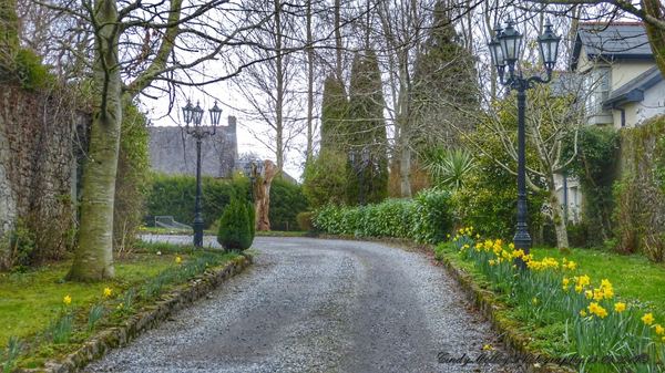 Birr