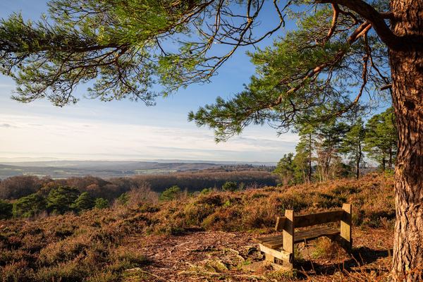 Blackdown