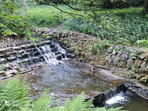 Bolton