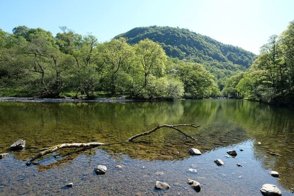 Borrowdale