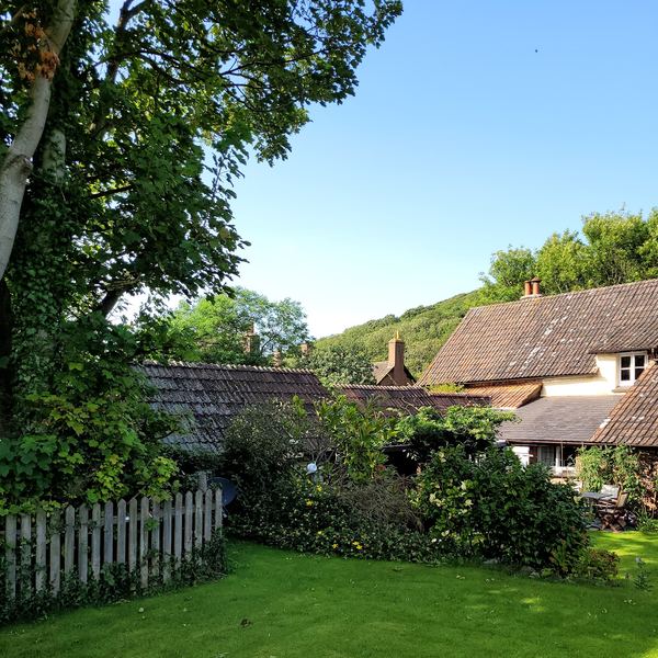 Bossington