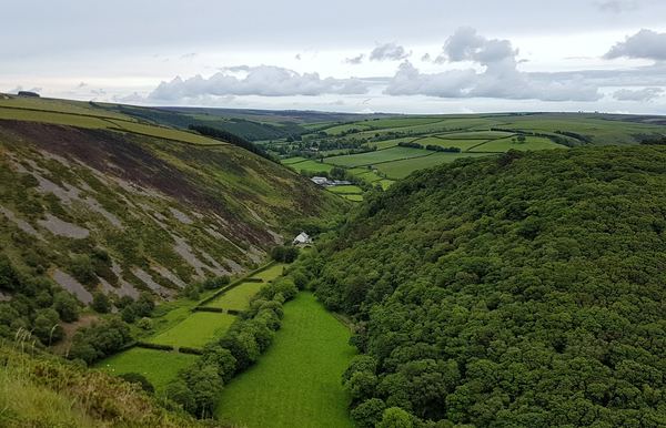 Brendon Hills