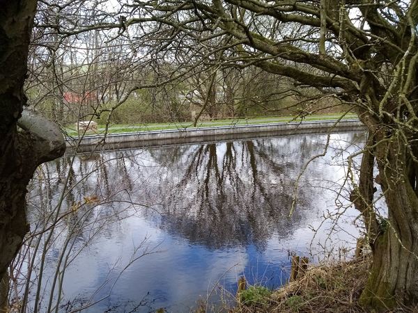 Brierfield