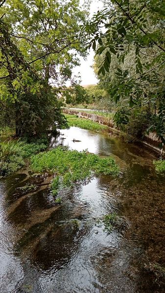 Broad Chalke