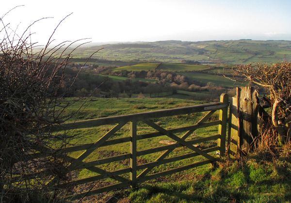 Bromlow
