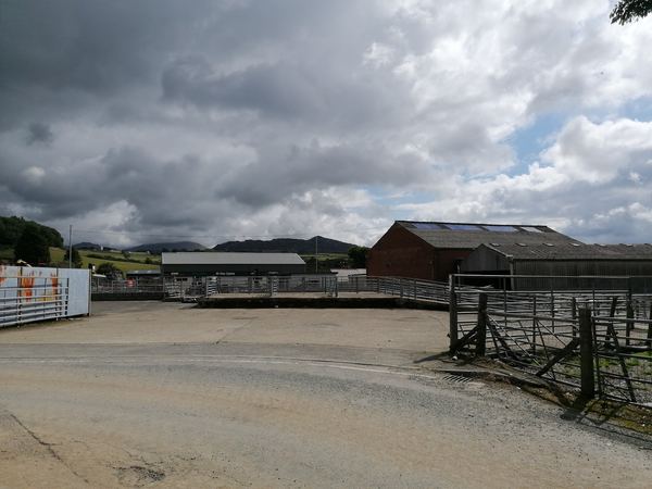 Bryncir