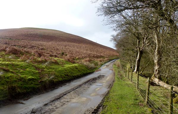 Bryngwyn