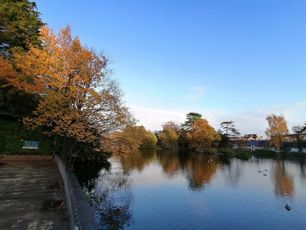 Brynmill
