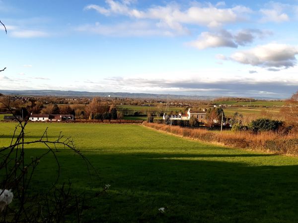 Buckover