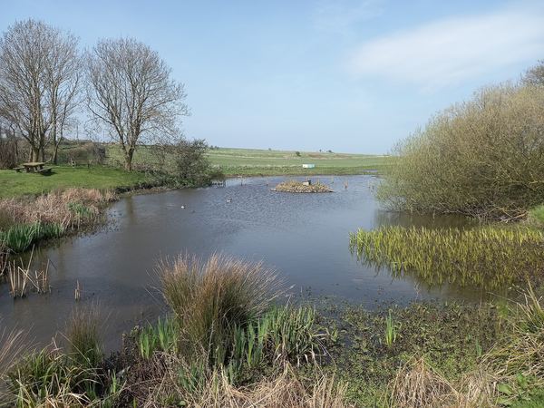 Buckton