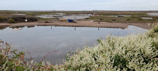 Burnham Deepdale