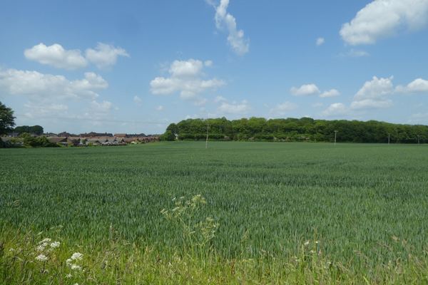 Byram