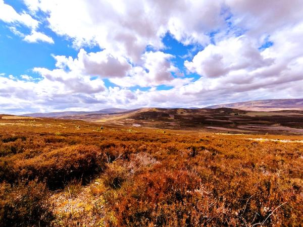 Cairngorms