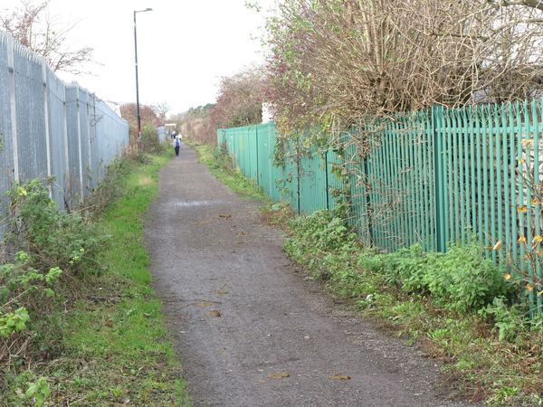 Camperdown