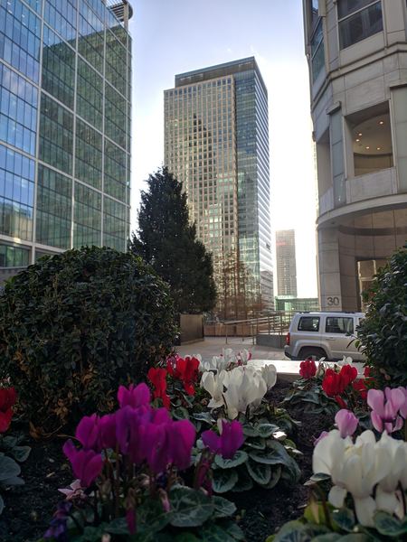 Canary Wharf