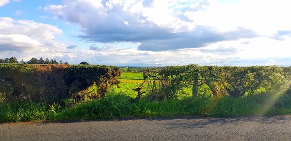 Carrickmore