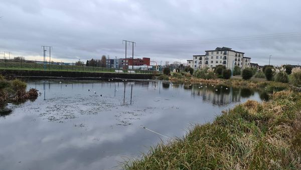 Carrigtwohill