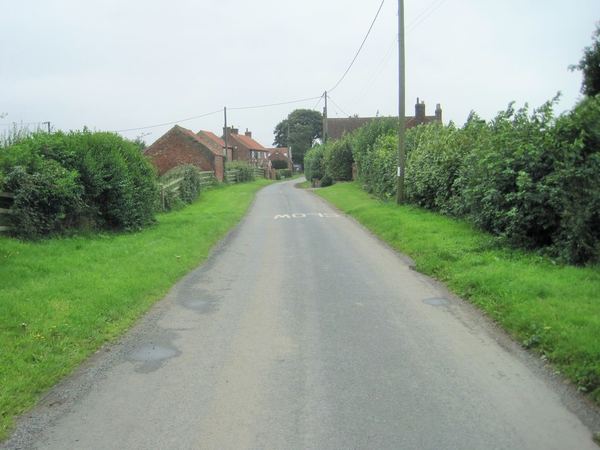 Catterton